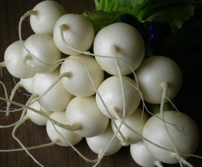 bunches of white radishes growing in a garden