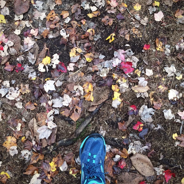 a pair of shoes that are sitting in the dirt