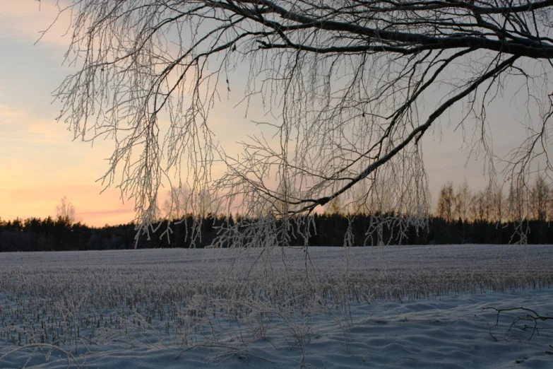 the winter scene is shown in silhouette against a pink and purple sky