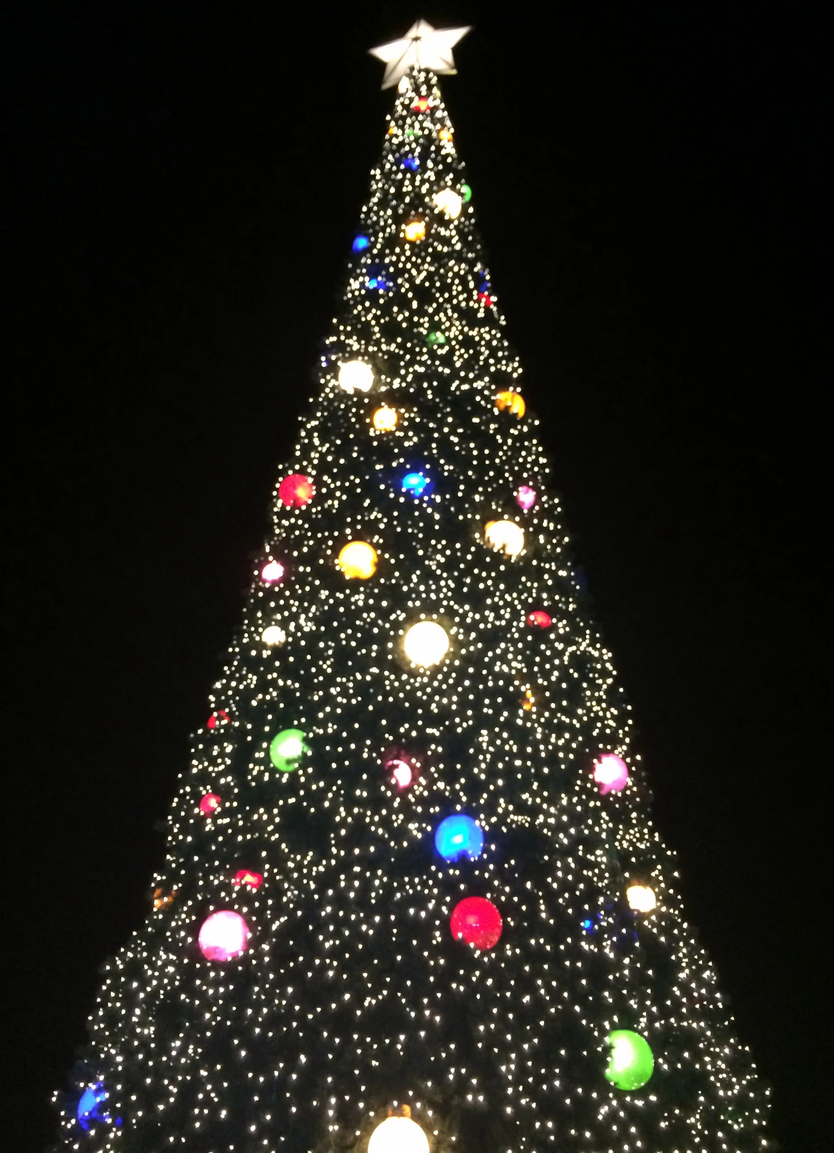 there is a large multi - colored christmas tree lit up at night