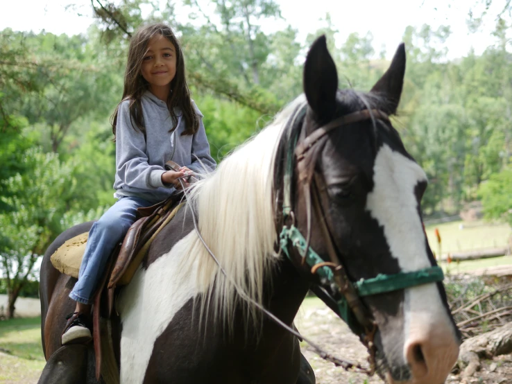 a girl sitting on top of a horse in a forest