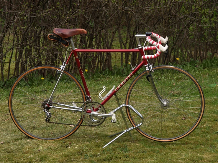 a red and white bicycle is on a field