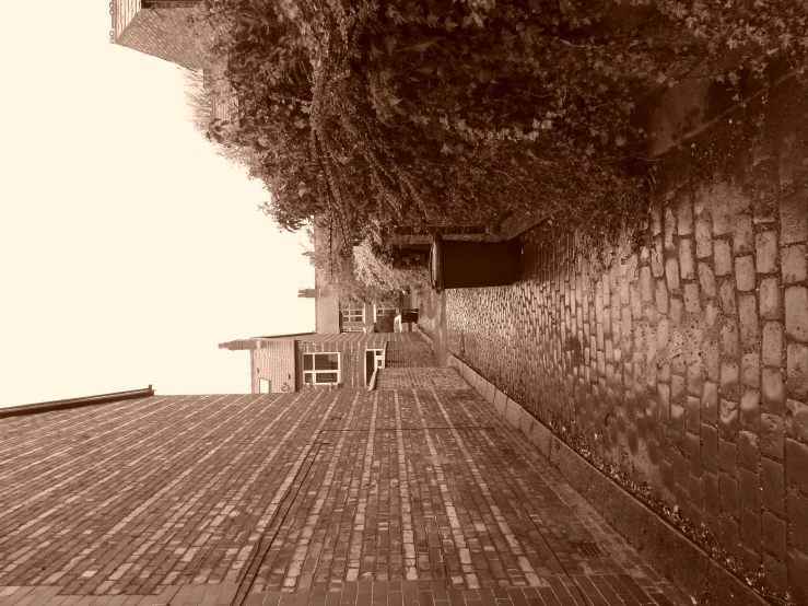 a brick road with plants growing up the side of it