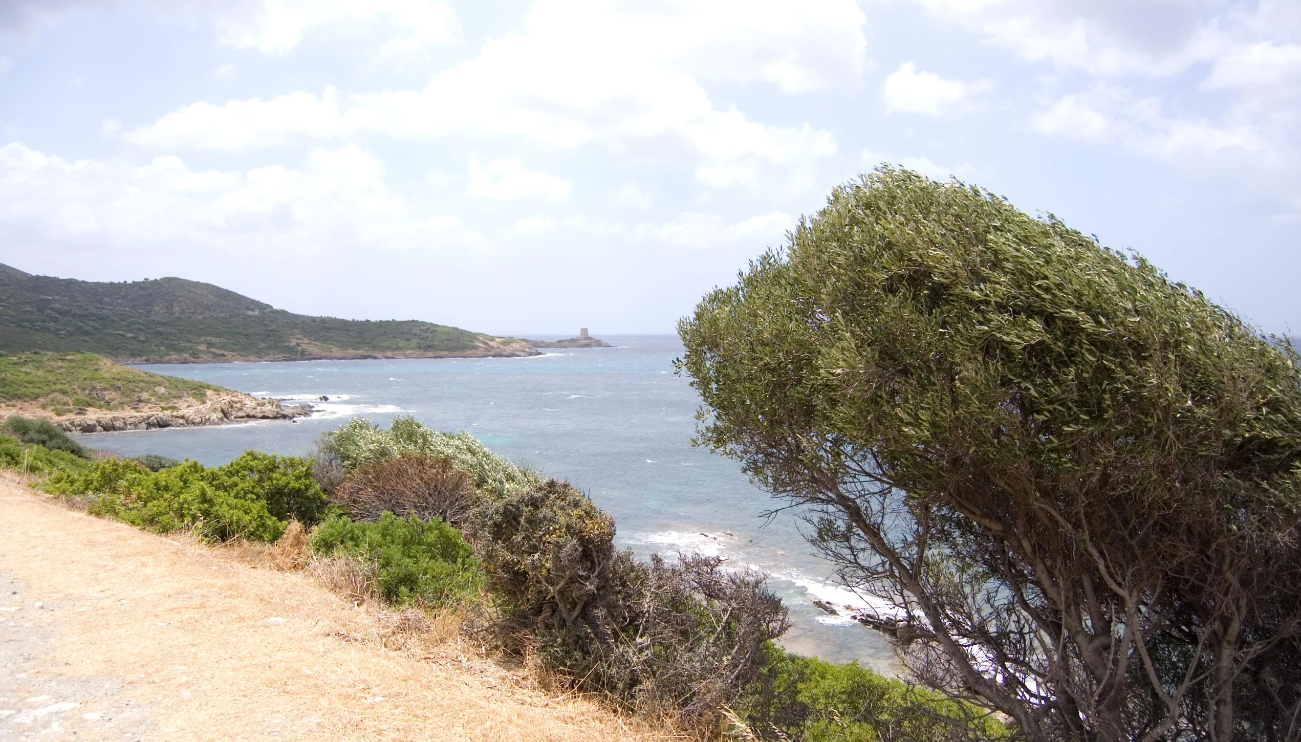 a dirt path by a beach and ocean