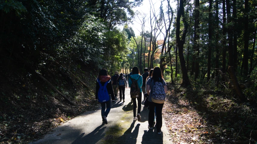 people walking down a wooded path near some trees