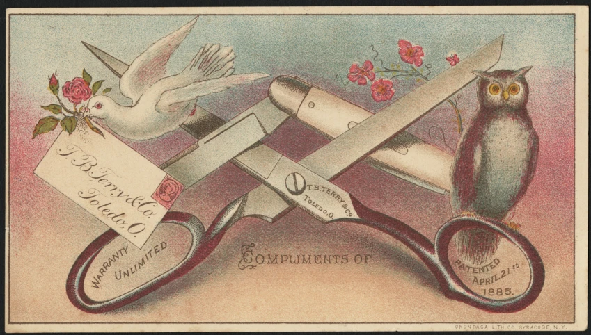 an old postcard with scissors and a bird