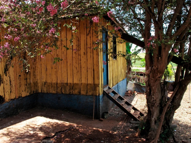 a small wooden shack with flowers on trees