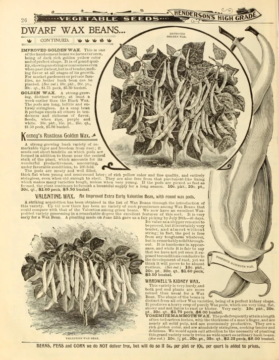 a page from an old book about flowers