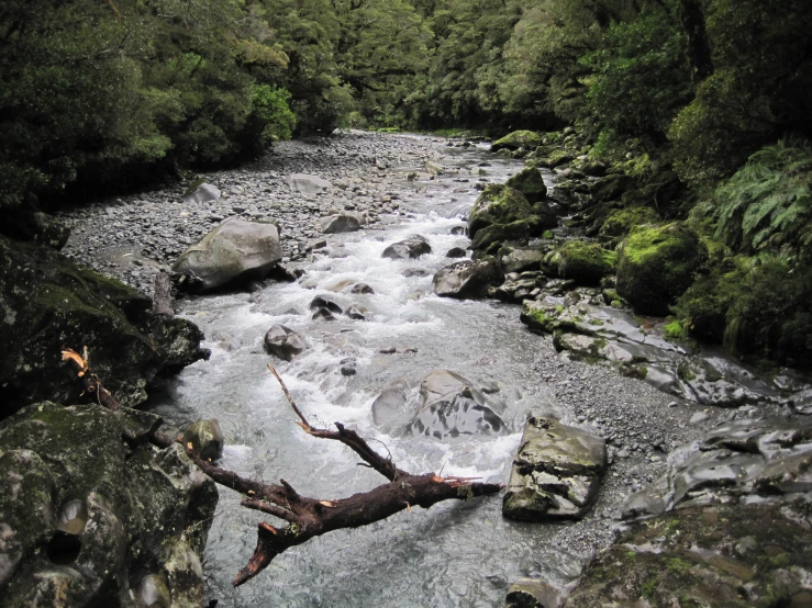 a close up of a river with many rocks