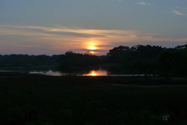 the sun setting over a calm lake, with trees and other foliage