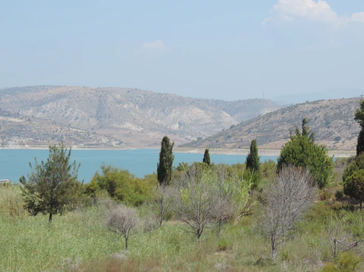 view of mountains and the ocean with wild bushes