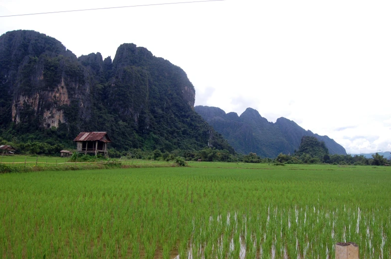 the houses are in the mountains, near the field