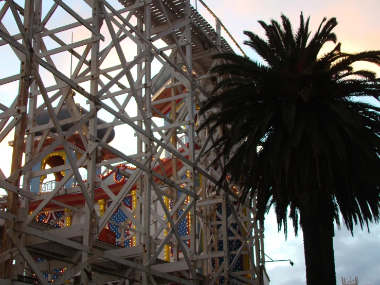 the ferris wheel spins brightly in front of a palm tree