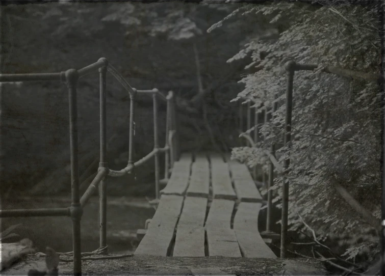 a small wooden walkway next to some trees