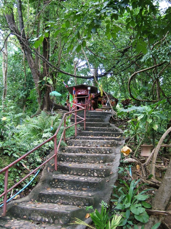 a very steep set of steps with many stairs