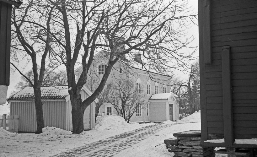 a house is near a snowy tree outside