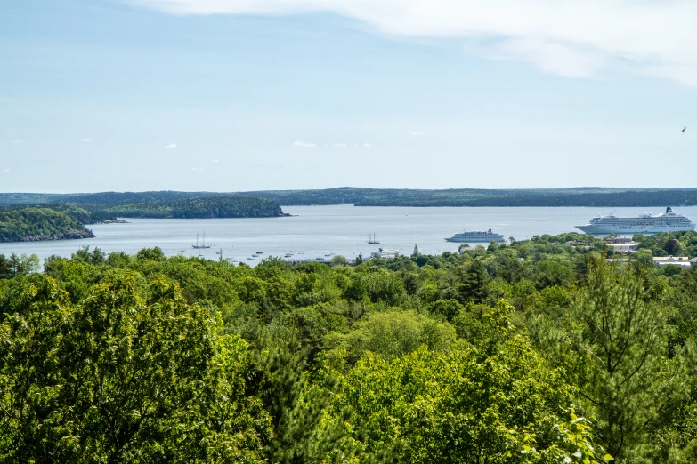 a cruise ship sailing in a river between trees