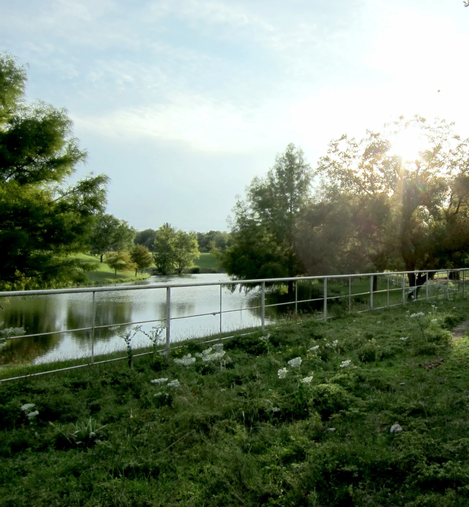 view of a lake, a bridge, and a grassy hill with grass growing up the side