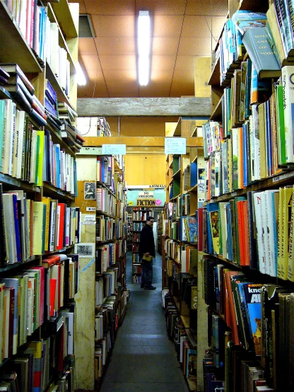 rows of books on shelves and some people walking through
