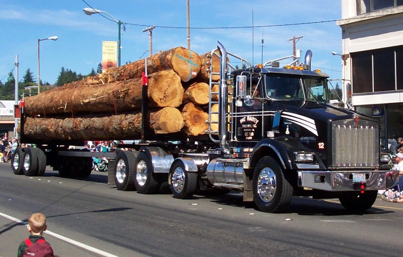 a big rig truck is carrying logs down the street