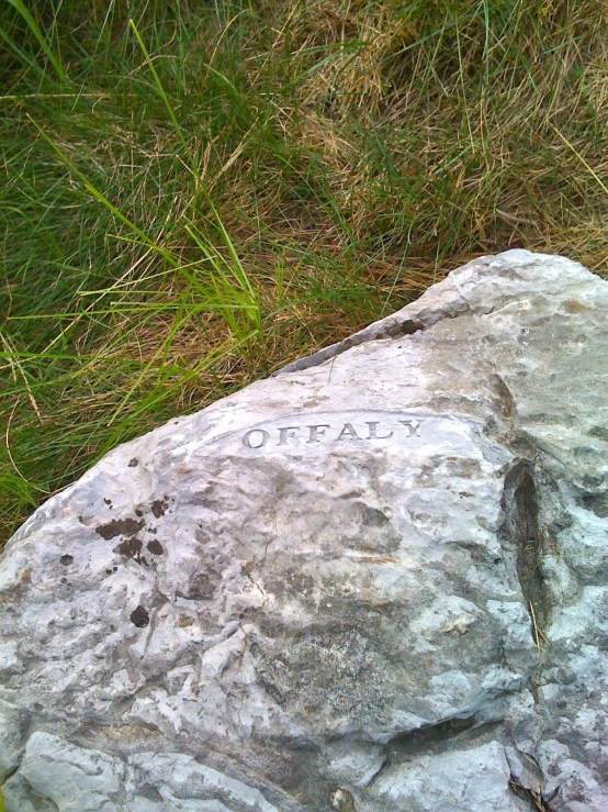 a rock with graffiti on it in the grass