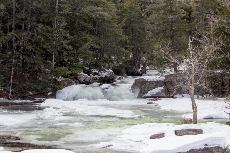 a man is standing in front of a river and there are trees in the distance