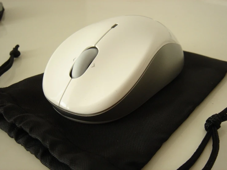 the mouse is placed on a piece of cloth