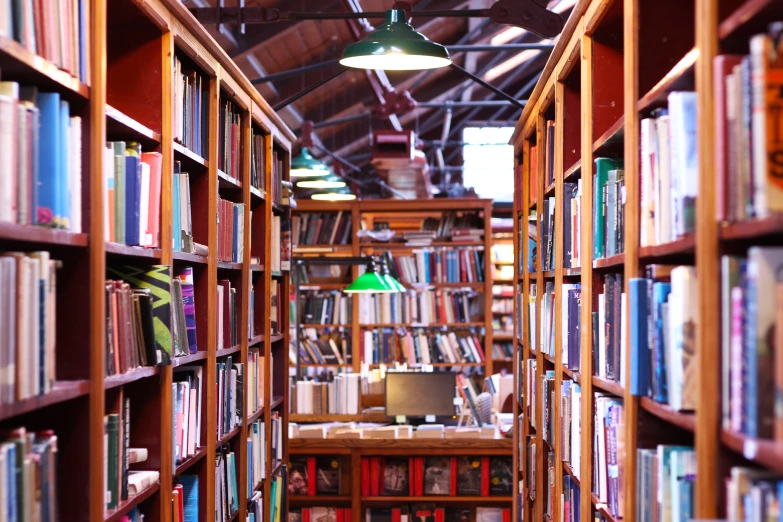 the large collection of books are neatly arranged on the shelves