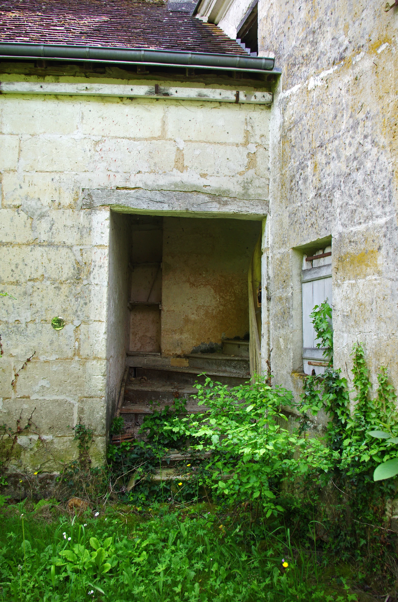 an outhouse on top of some vegetation in a small area