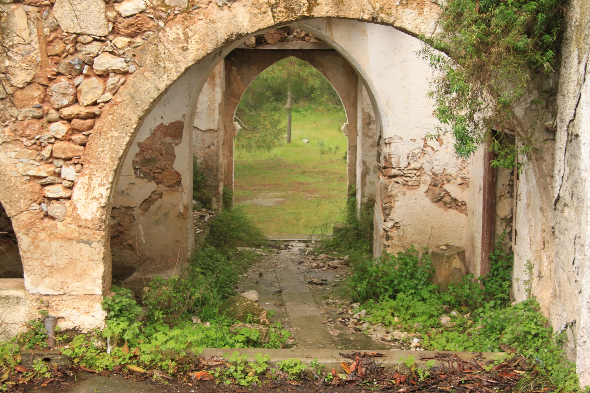 an old brick archway with a few trees growing on one side