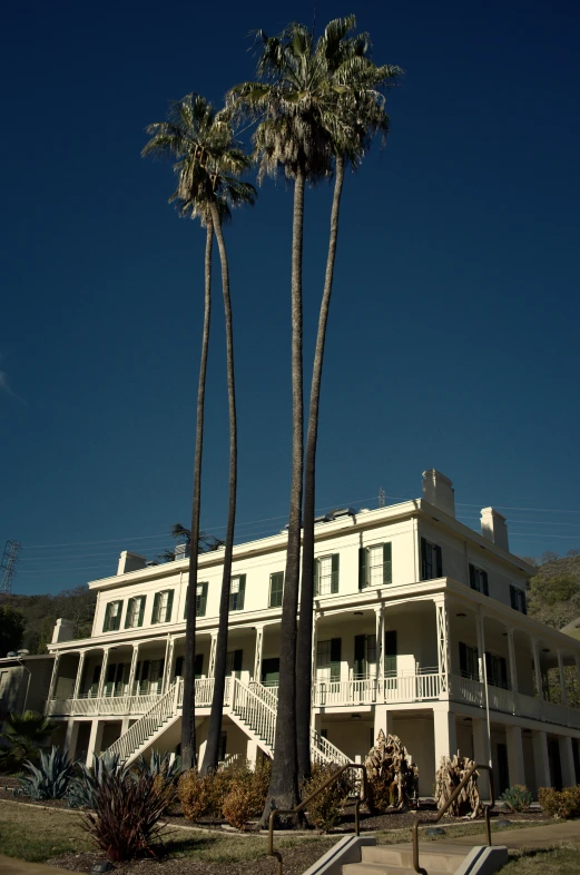 three palm trees and stairs in front of a white building