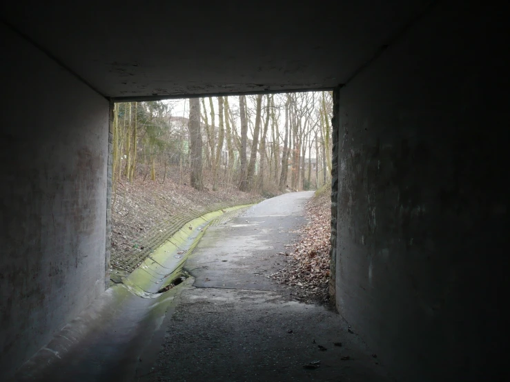 the view of a tunnel through trees in the dark