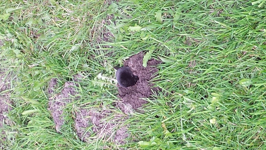 a close up of a very small hole in the ground