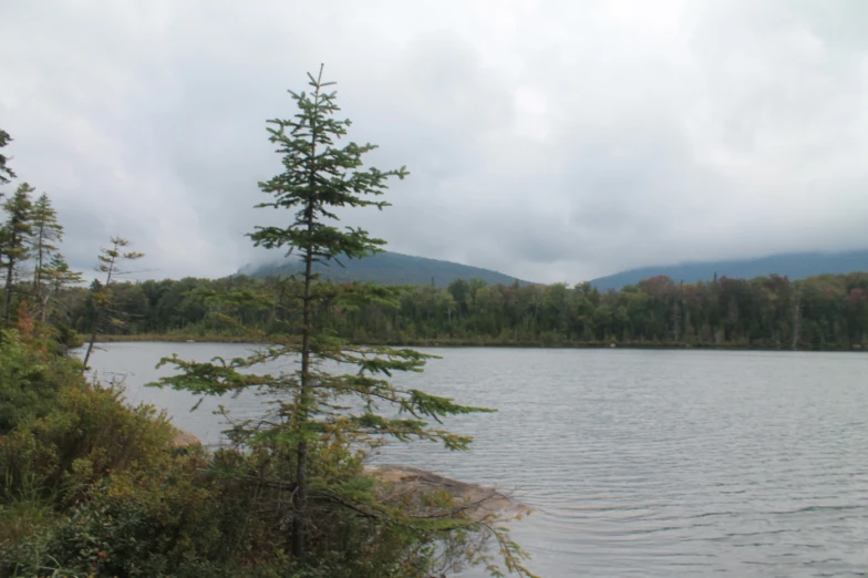 a small tree stands in the foreground as water and a mountain range are in the distance