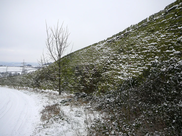 a snow covered path with a tree next to it