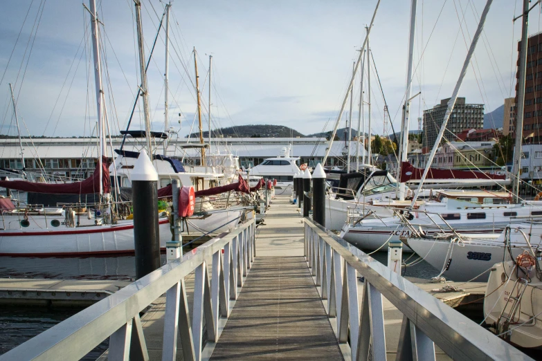 many boats are docked at the marina