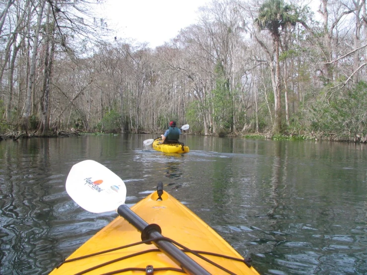 a man is in a yellow boat near a river with trees