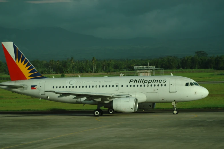 a airplane that is on the runway with grass in the background