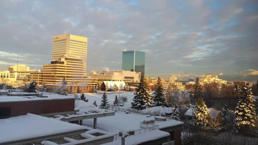 a view of buildings and trees in the winter