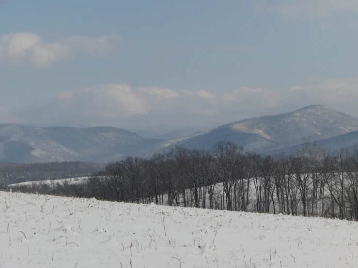 a large grassy hill covered in snow and surrounded by trees