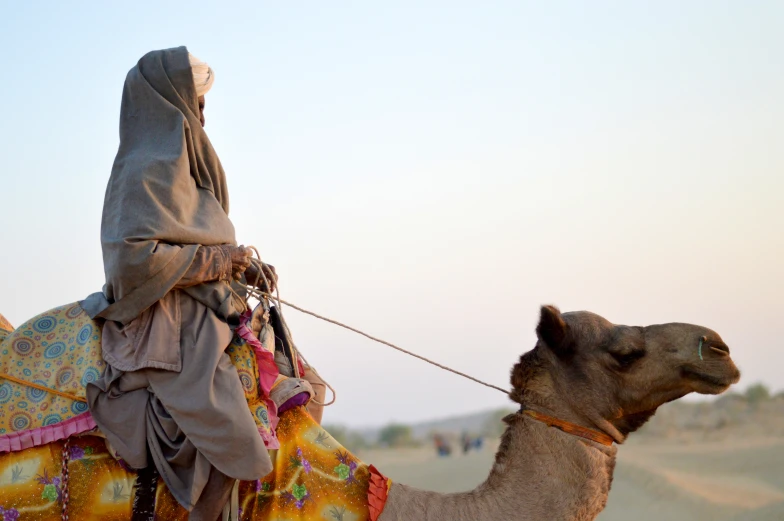 a woman on a camel in the desert with a blanket over her head