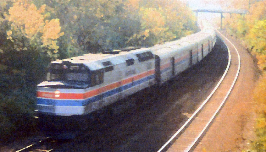 train going down a track in the middle of trees