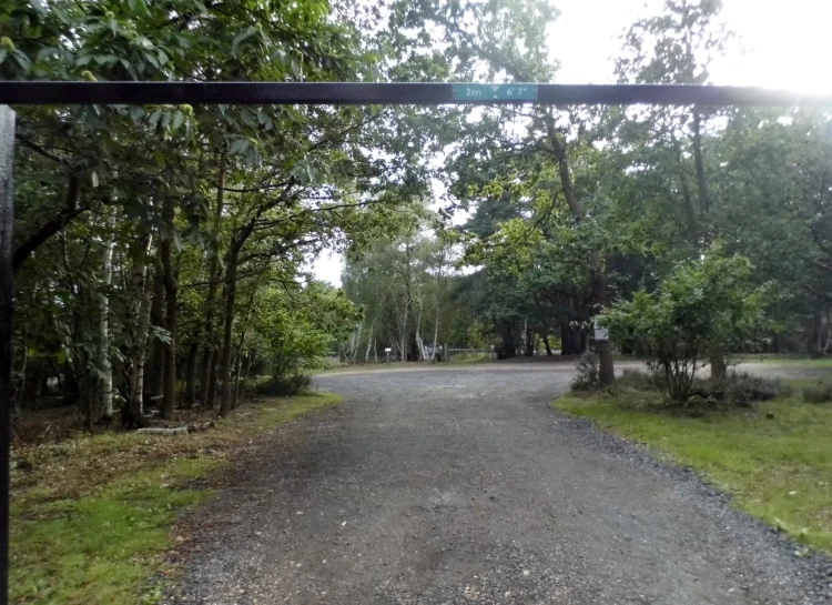 a gate with the entrance to a park with trees and road