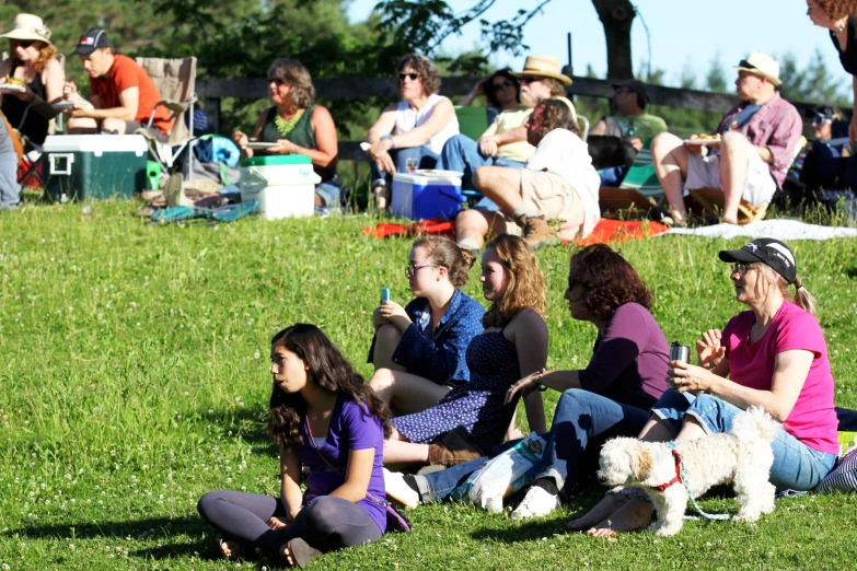 several young people sit in the grass with two dogs