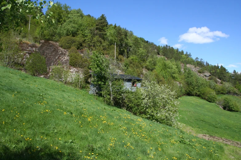 a wooden bridge sitting above a green hillside