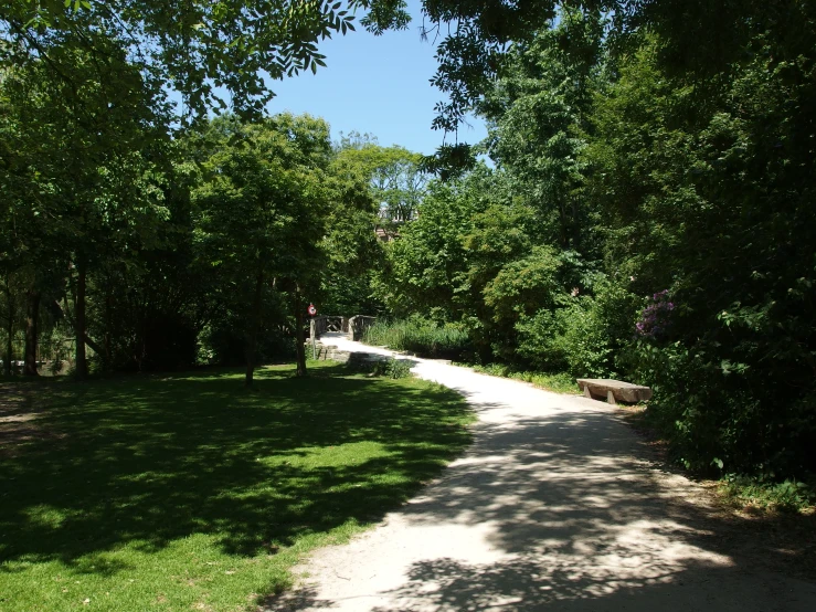 a pathway is surrounded by trees and grass