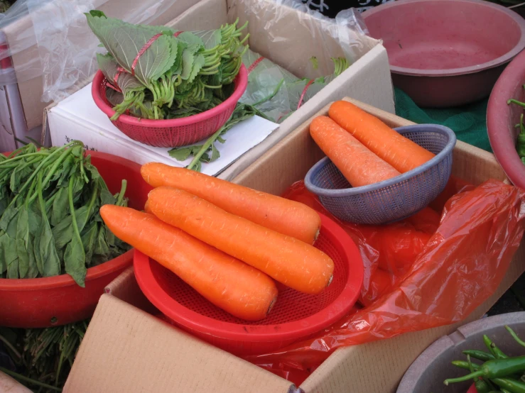 vegetables sit in plastic containers and are on display
