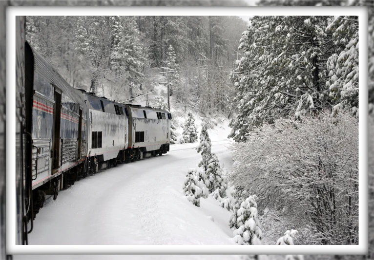 a train driving down the tracks in a snowy forest