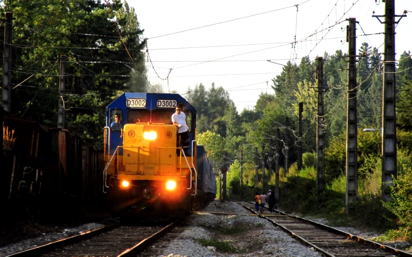 a yellow and blue train with its lights on traveling down the track