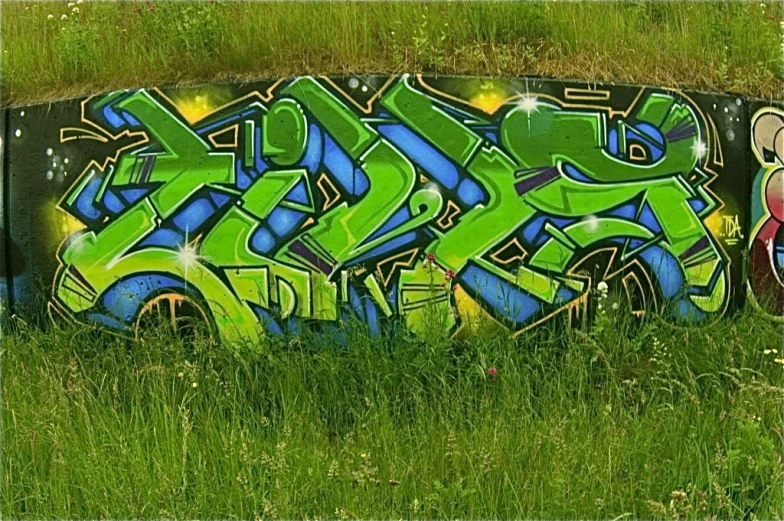 a graffiti - filled skateboard sitting in the grass